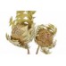 BANKSIA BAXTERII Natural 12"-18" -OUT OF STOCK